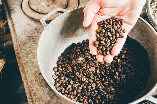 Coffee-Grind-Guide-Which-One-to-Choose Sabreno Coffee